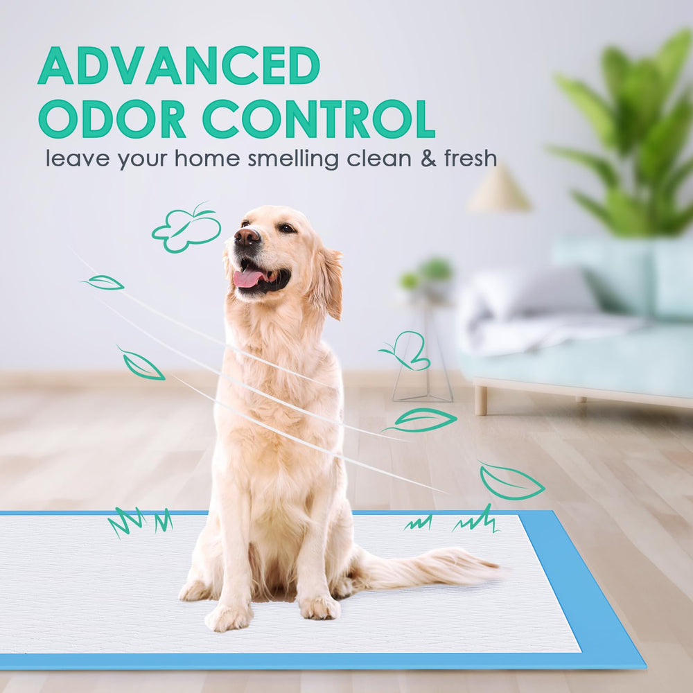 JollyMate pads shown for indoor outdoor use and placement