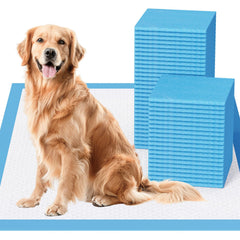 JollyMate XL pee pad with adhesive tabs keeps pads from moving.