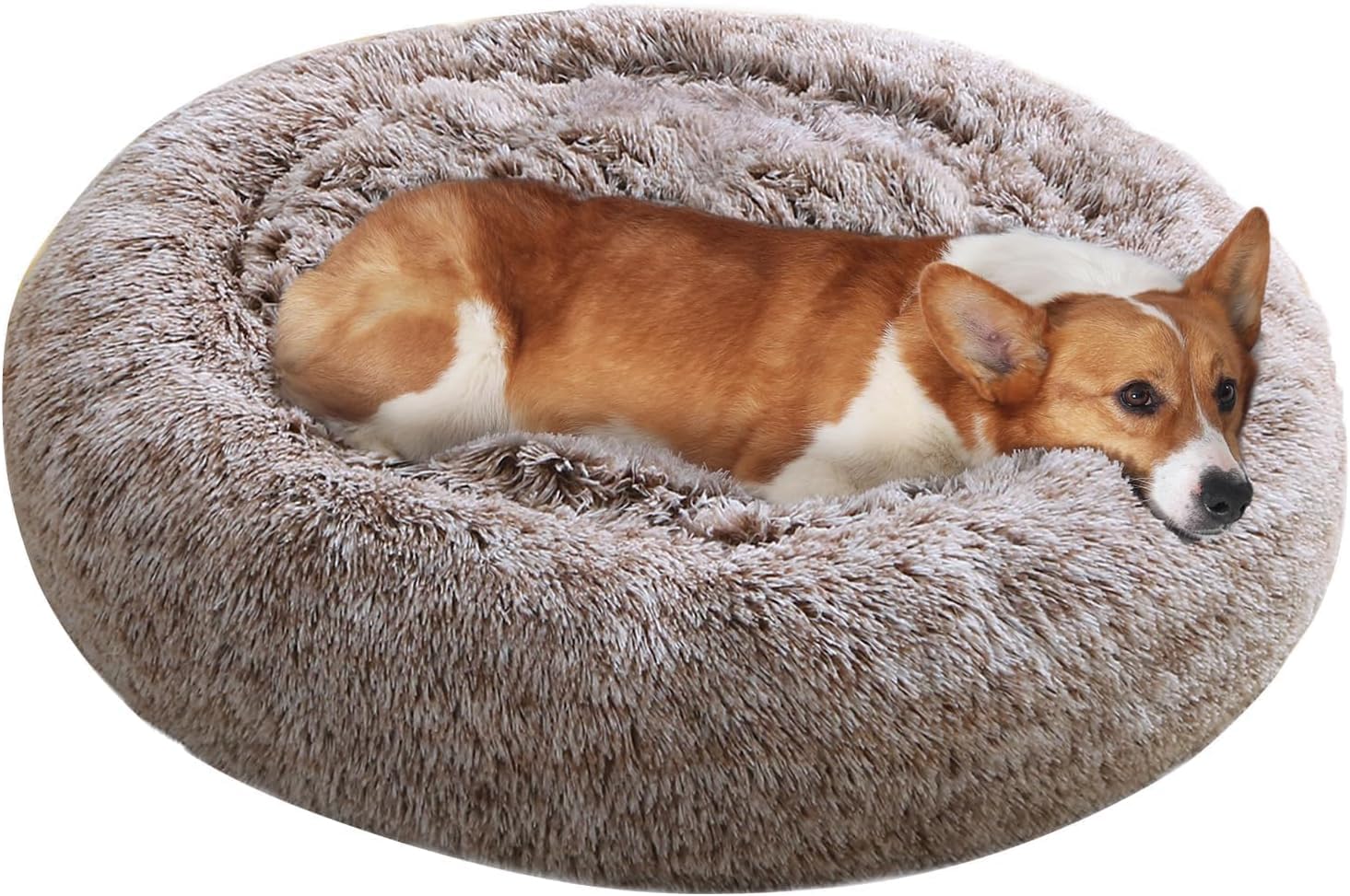 JOLLYVOGUE dog bed donut side profile shows secure sides for anxious dogs.