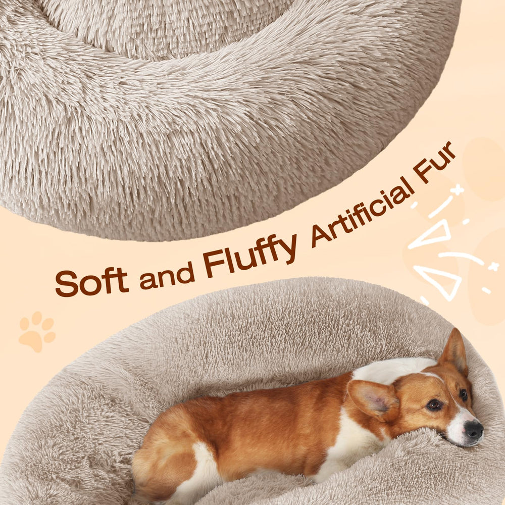 JOLLYVOGUE dog bed non-slip-bottom confirms secure placement during playful moments.