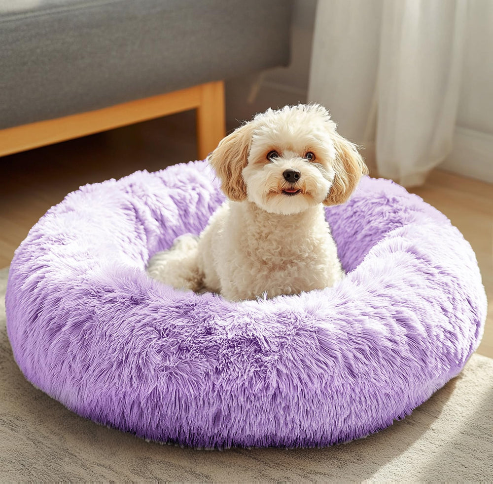 JOLLYVOGUE Donut Bed front view—cozy hideaway for small dogs and cats.