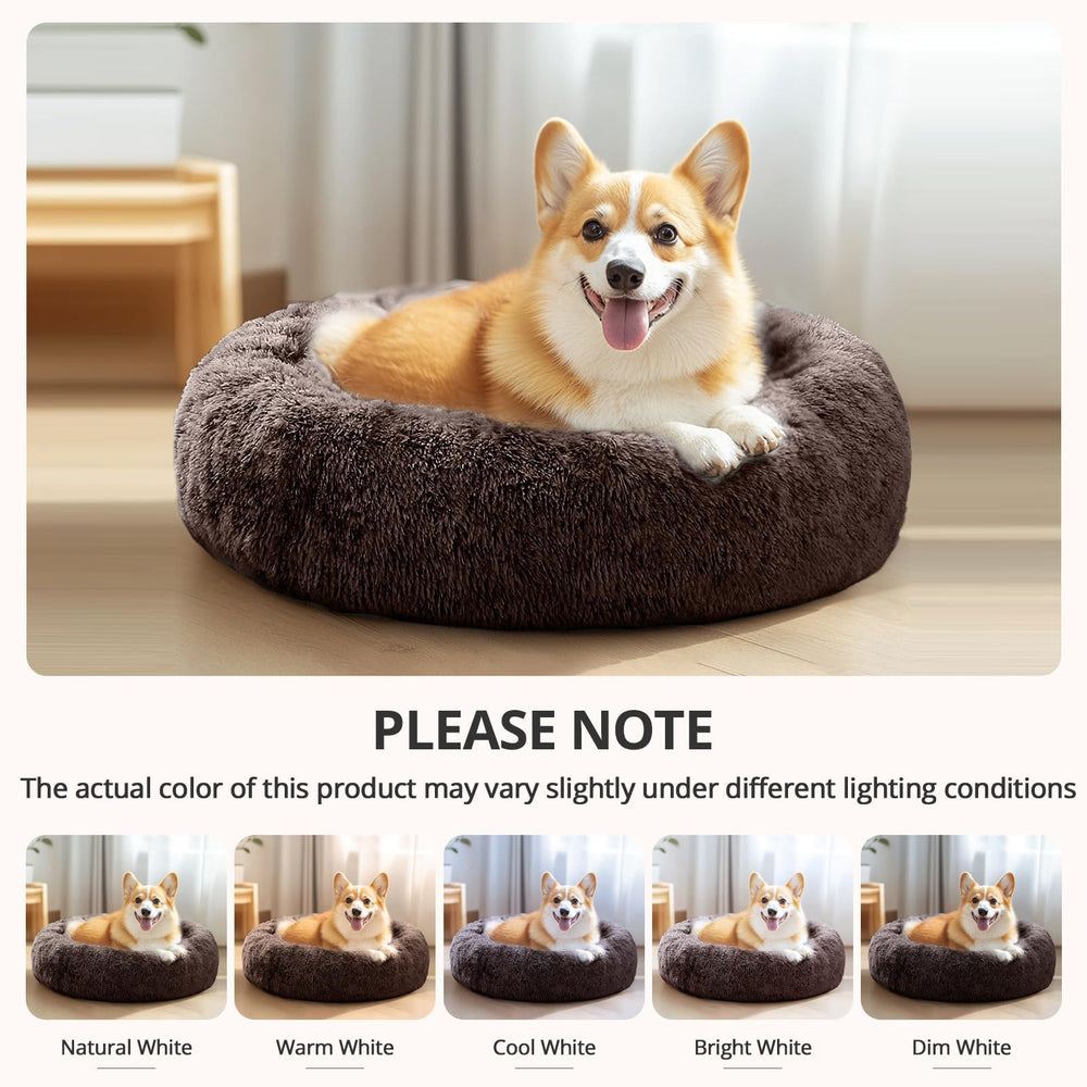 JOLLYVOGUE bed is machine-washable for easy cleaning after daily use