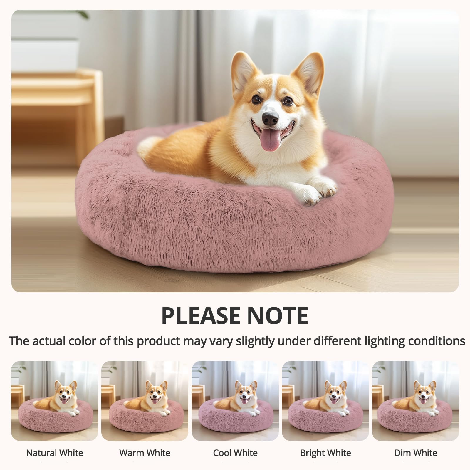 JOLLYVOGUE deep crevices invite burrowing and security.