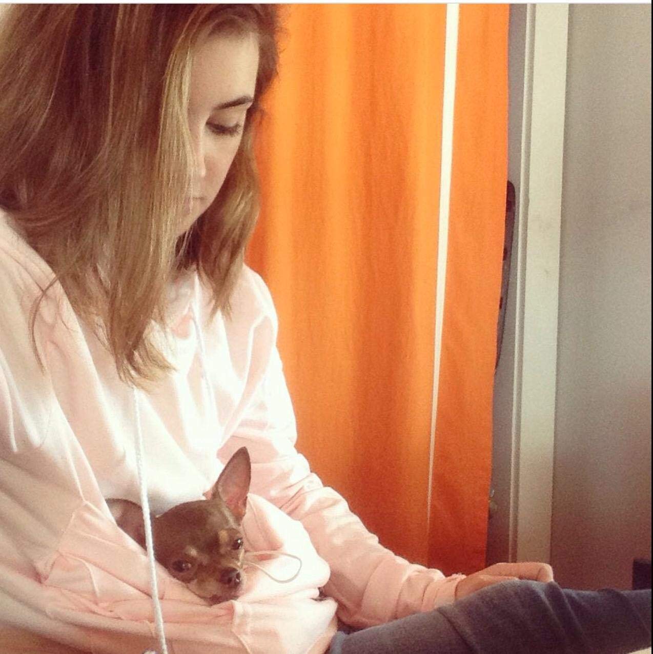 Jomago pet-carrier hoodie side pockets ideal for phone and keys.