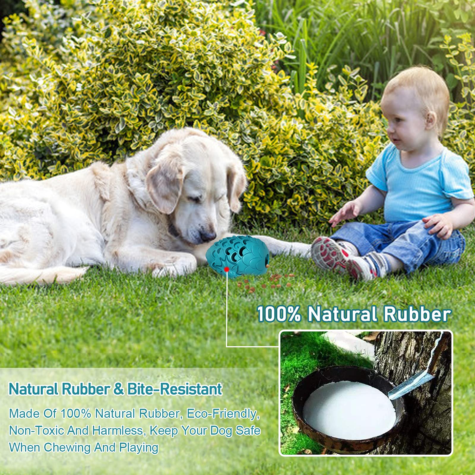 Jomilly Dragon Egg Toy fetch-ready for interactive play and exercise