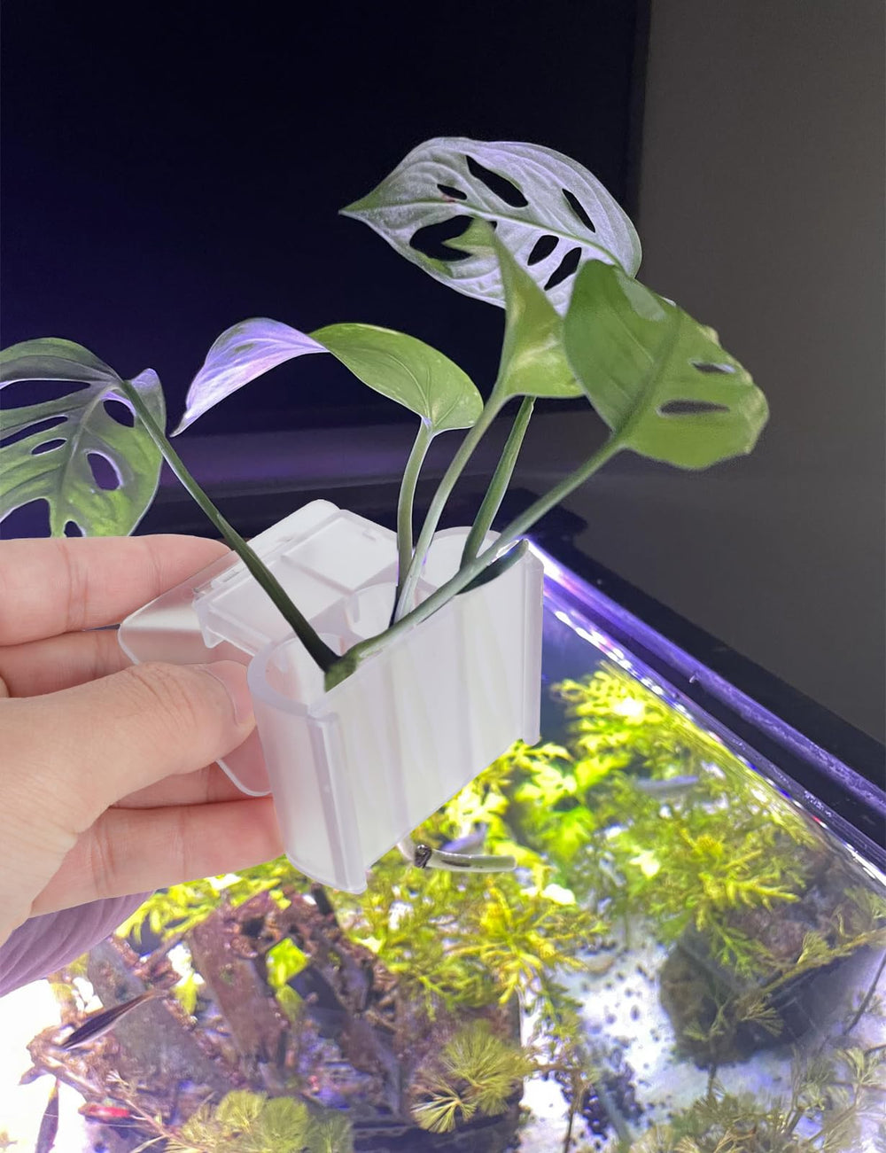 joqepy multi-use plant holder doubles as decorative accent
