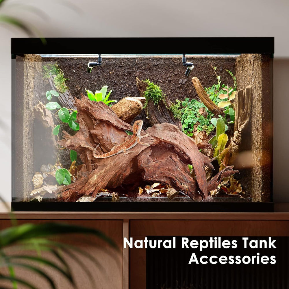 Jorewood driftwood offers lizard climbing surfaces in terrariums