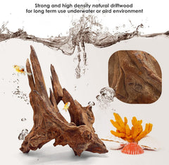 Jorewood driftwood pack-10-piece offers versatile decor options for fish and terrariums.