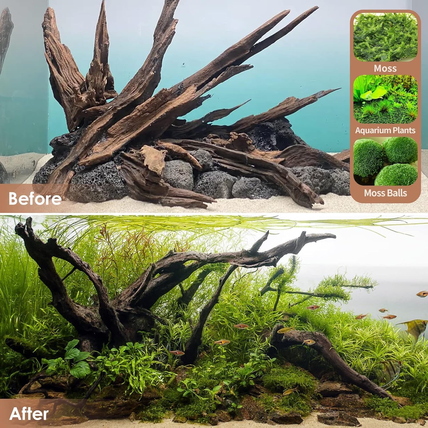 Jorewood driftwood reptile-terrarium works as authentic hiding spots for reptiles.