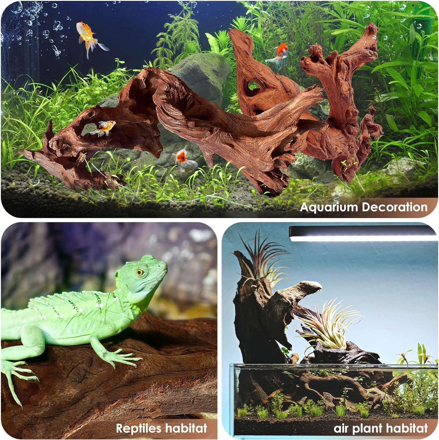 Jorewood driftwood terrarium caves and basking structures