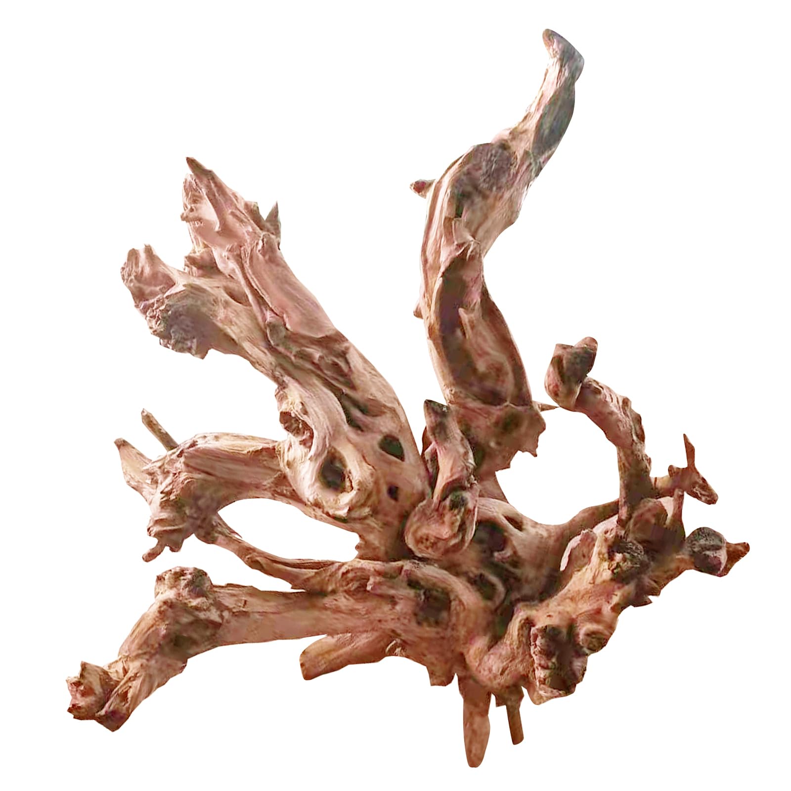 Jorewood driftwood twisted branches 13-17in offers natural climbing surfaces for reptiles.