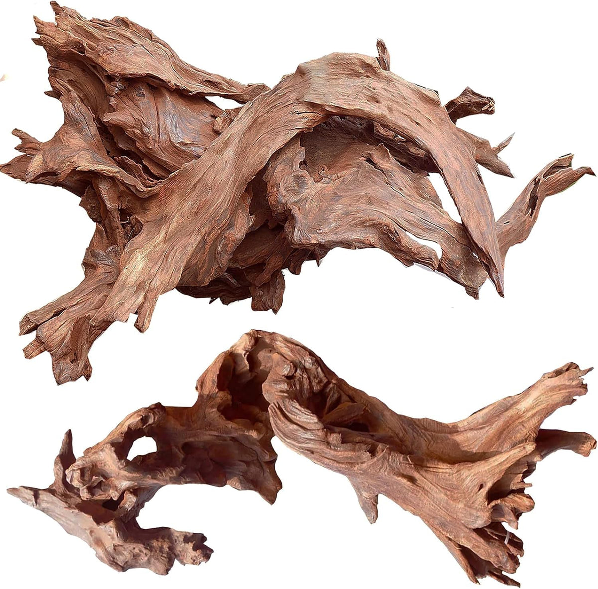 Jorewood driftwood with twisted branches enhances aquarium decor and hiding spaces