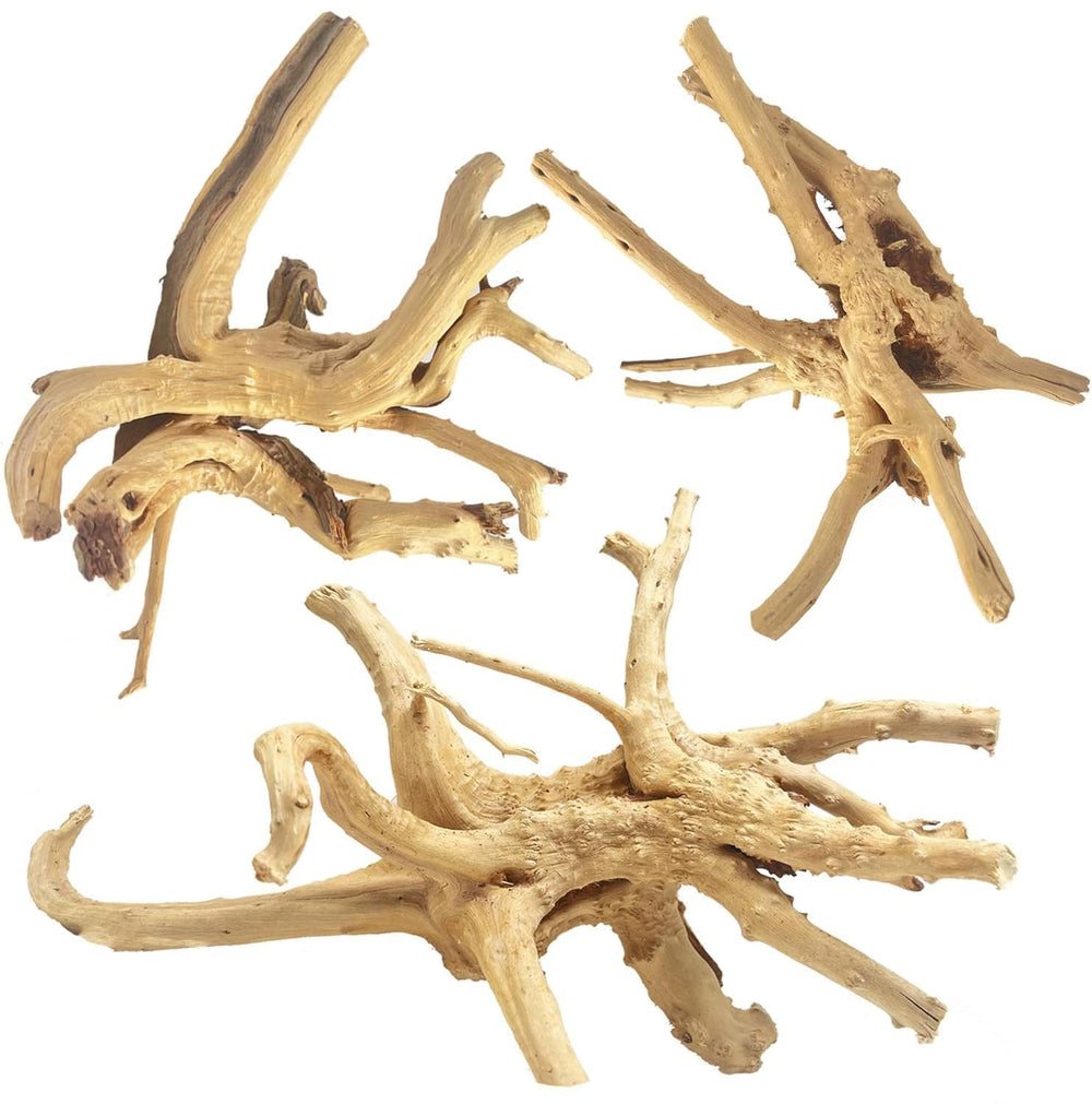 Jorewood Spiderwood driftwood aquarium branch 7-11in adds natural scenery and hiding spots.