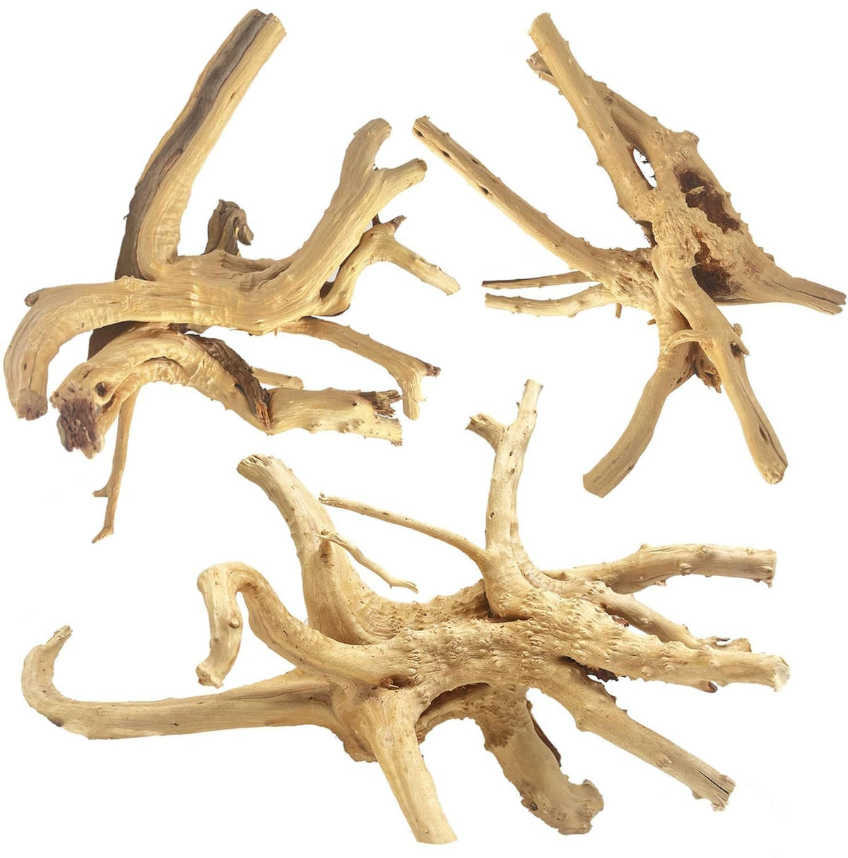 Jorewood Spiderwood driftwood aquarium branch 7-11in adds natural scenery and hiding spots.