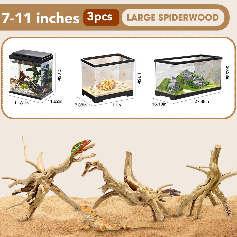 Jorewood Spiderwood driftwood trio expands tank depth and provides climbing surfaces.