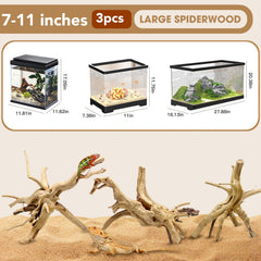 Jorewood Spiderwood driftwood trio expands tank depth and provides climbing surfaces.