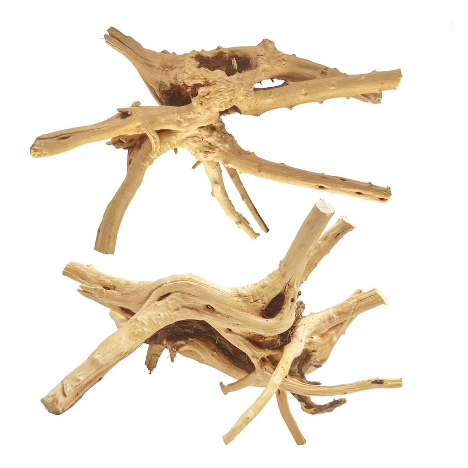 Jorewood spiderwood driftwood branch for aquarium décor, creating natural focal points and hiding spots.