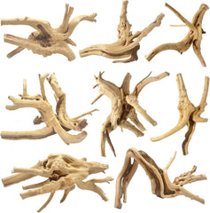 Jorewood spiderwood driftwood branch close-up: adds natural habitat and hiding spots for fish