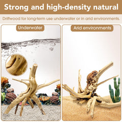 Jorewood spiderwood driftwood branch demonstrates moss-tree setups for tanks and terrariums