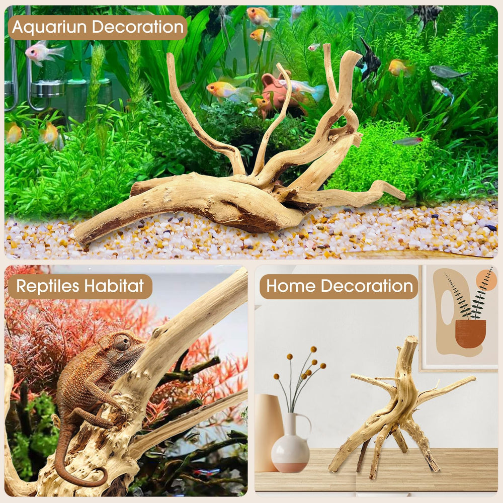 Jorewood spiderwood driftwood branch shows unique shapes from multiple angles for tank aesthetics