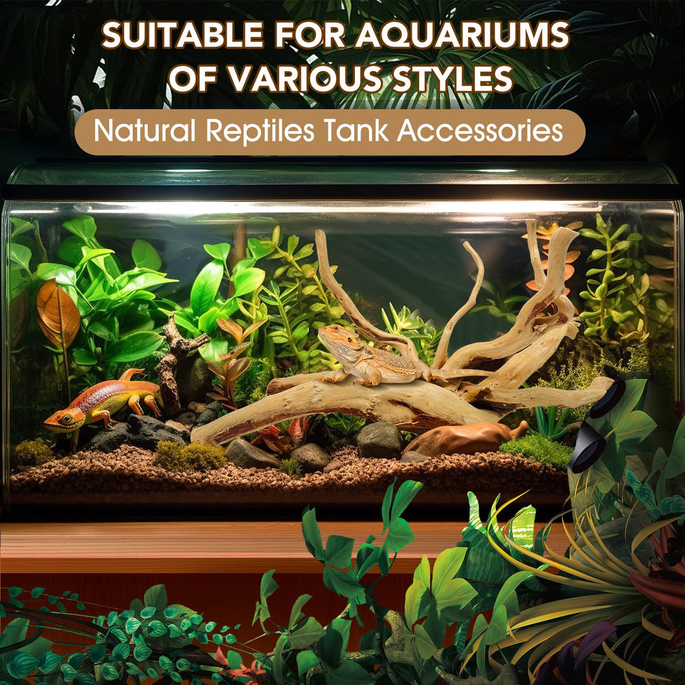 Jorewood natural driftwood branch, 4–7 inches, suitable for larger tanks and reptile enclosures
