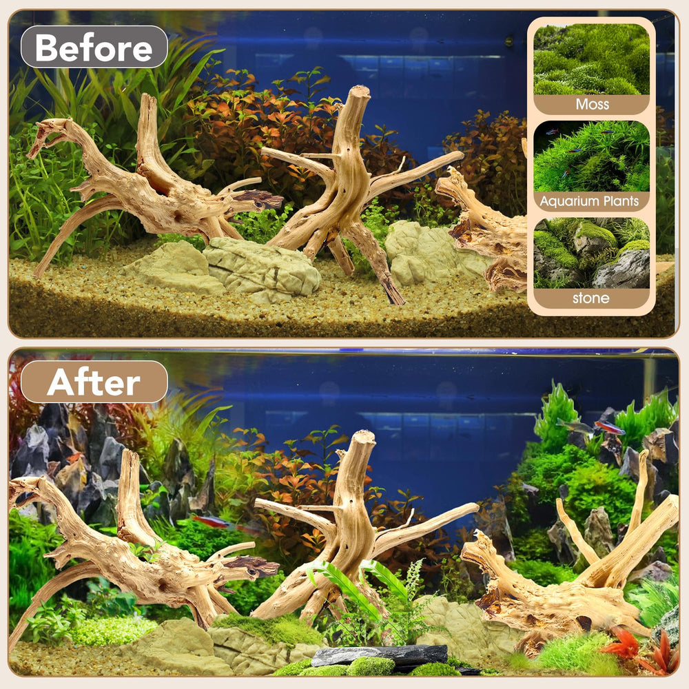 Jorewood driftwood pre-treatment supports safe tank setup by reducing tannins.