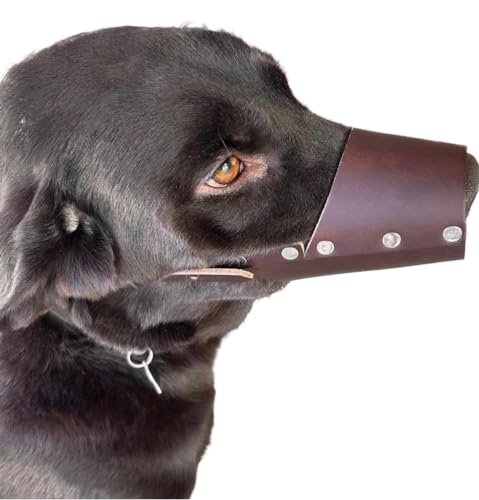 JorVet large leather dog muzzle adjustable straps demonstrate customizable fit for pets.