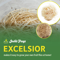 Josh's Frogs Excelsior cultures setup shows streamlined prep for efficient breeding.