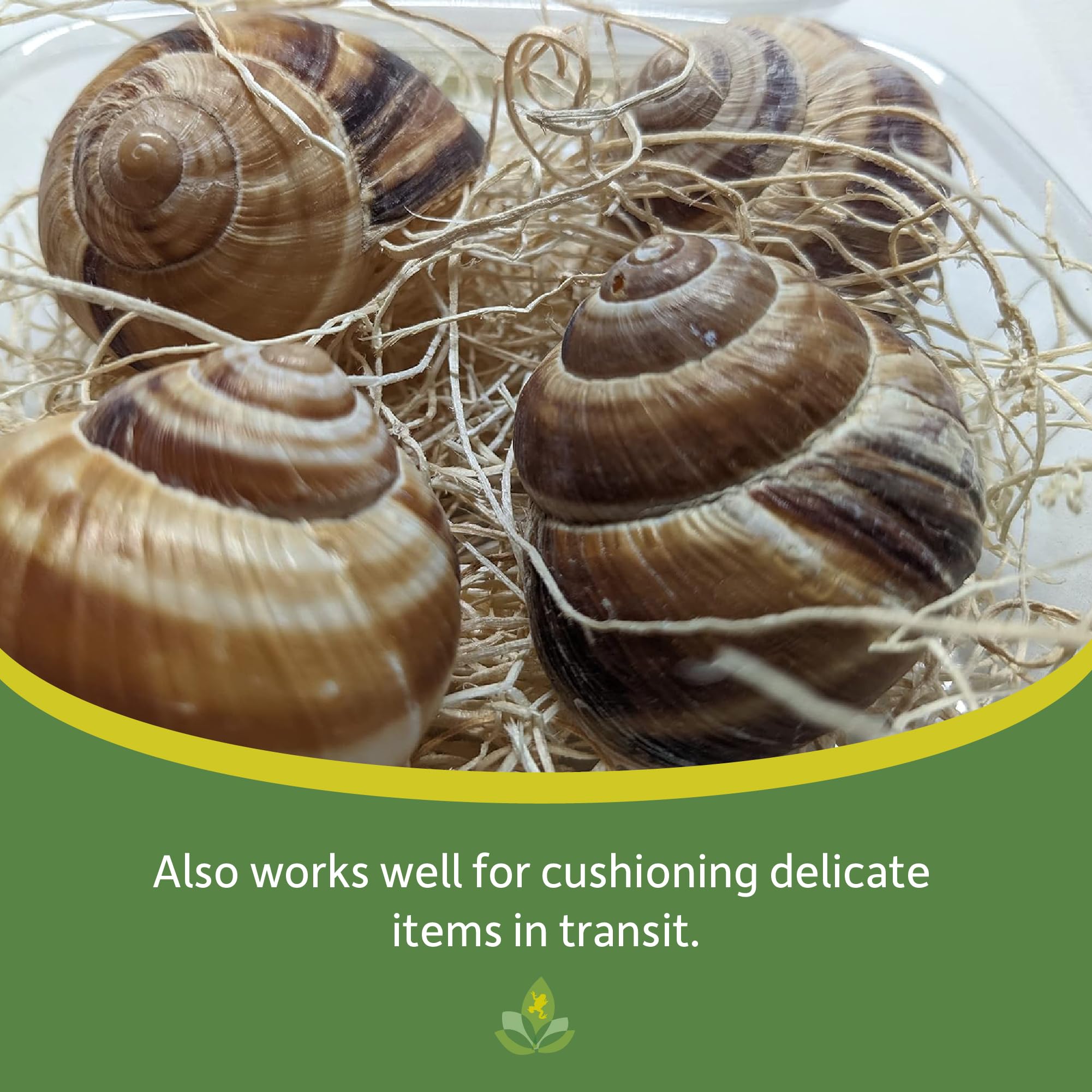 Josh's Frogs Excelsior stable cultures reduce fluctuations versus coffee filter setups.