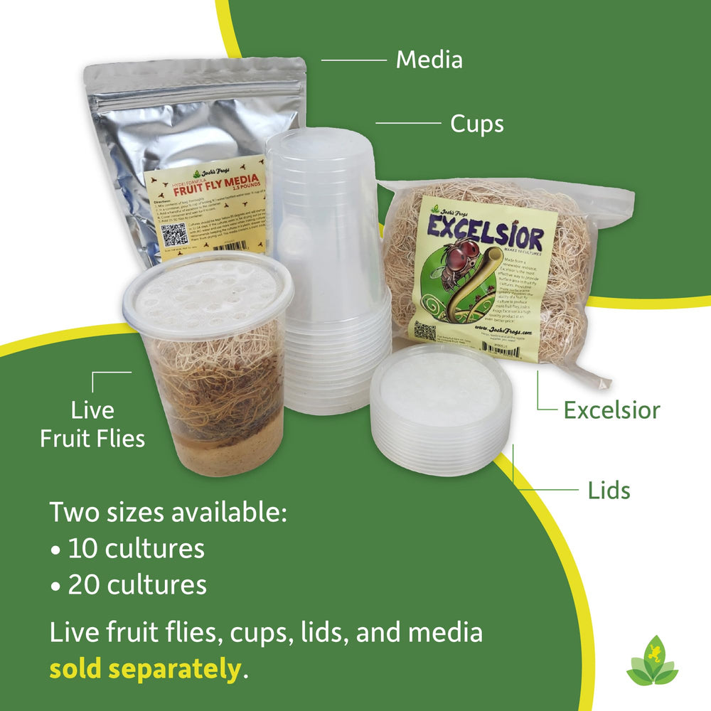 Josh's Frogs Excelsior usage demo shows practical, mess-light culture maintenance.