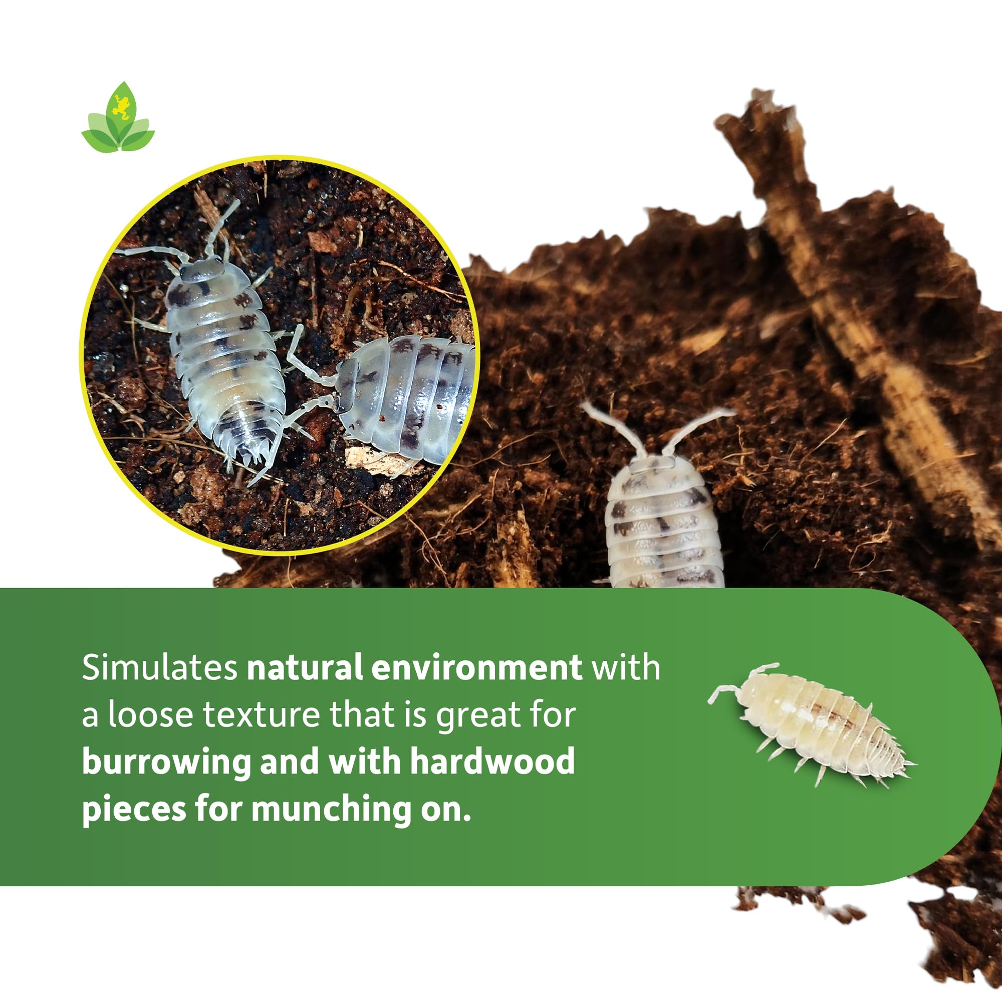Josh's Frogs Isopod Substrate used with feeder isopods like Dwarf Whites.