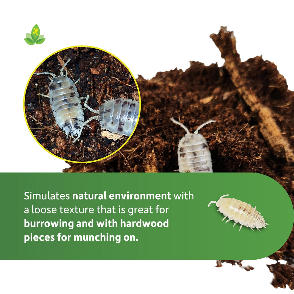 Josh's Frogs Isopod Substrate used with feeder isopods like Dwarf Whites.
