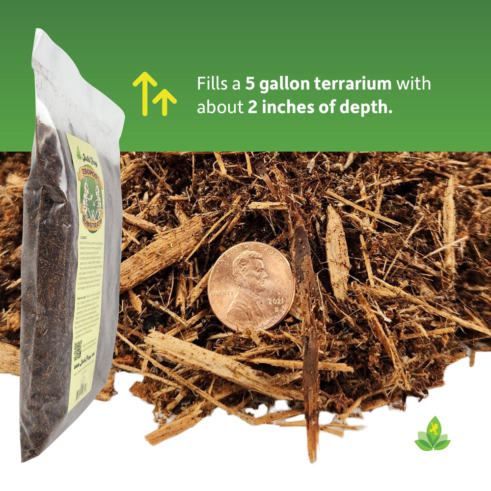 Josh's Frogs Isopod Substrate natural environment with a looser texture aids burrow creation.