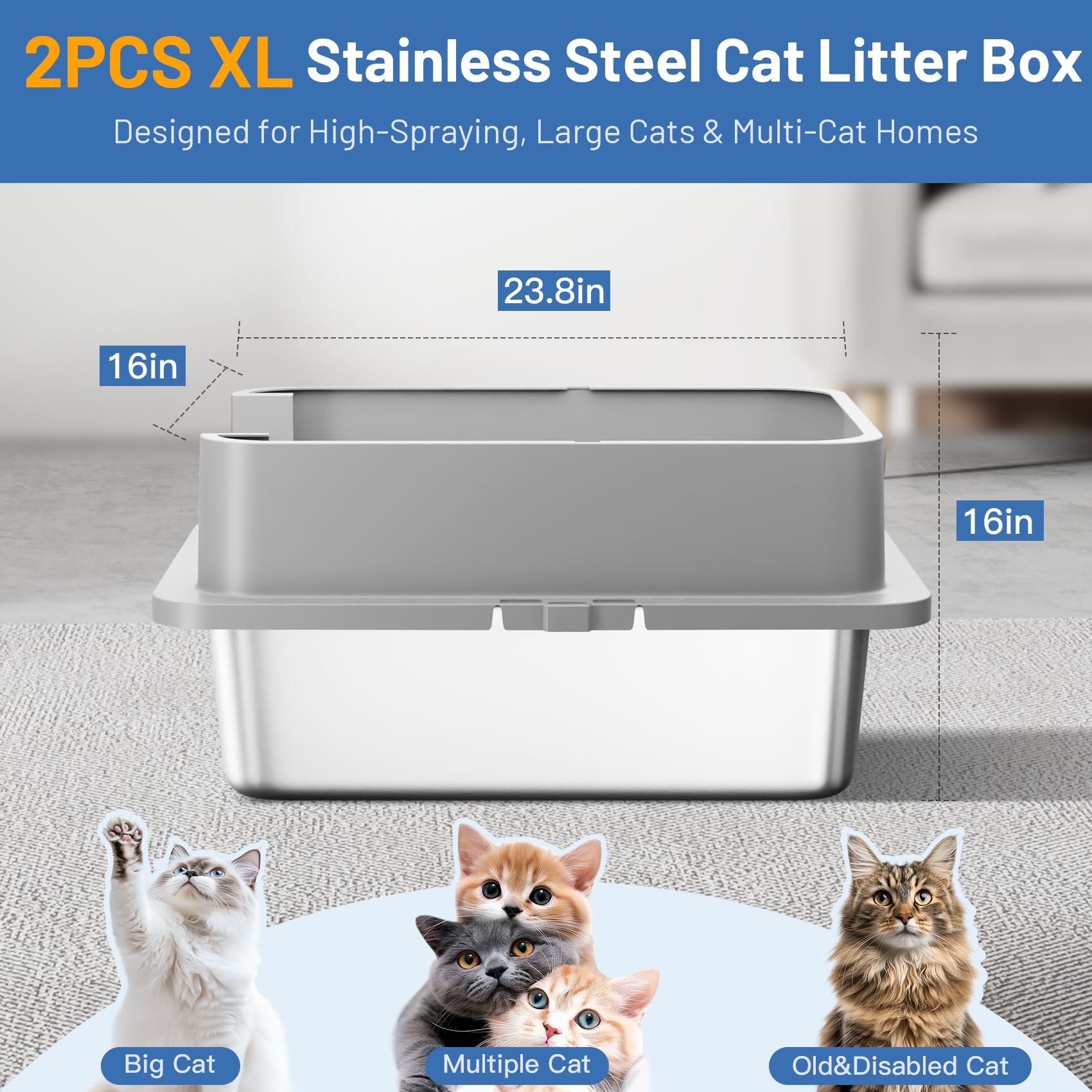 Jotesnew enclosed litter box with 12-inch high sides to contain mess.