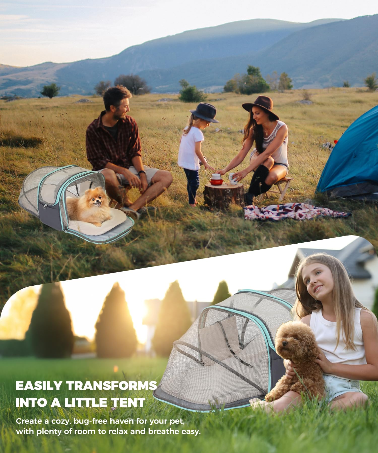 JourCraf interior safety leash helps prevent escapes during travel.