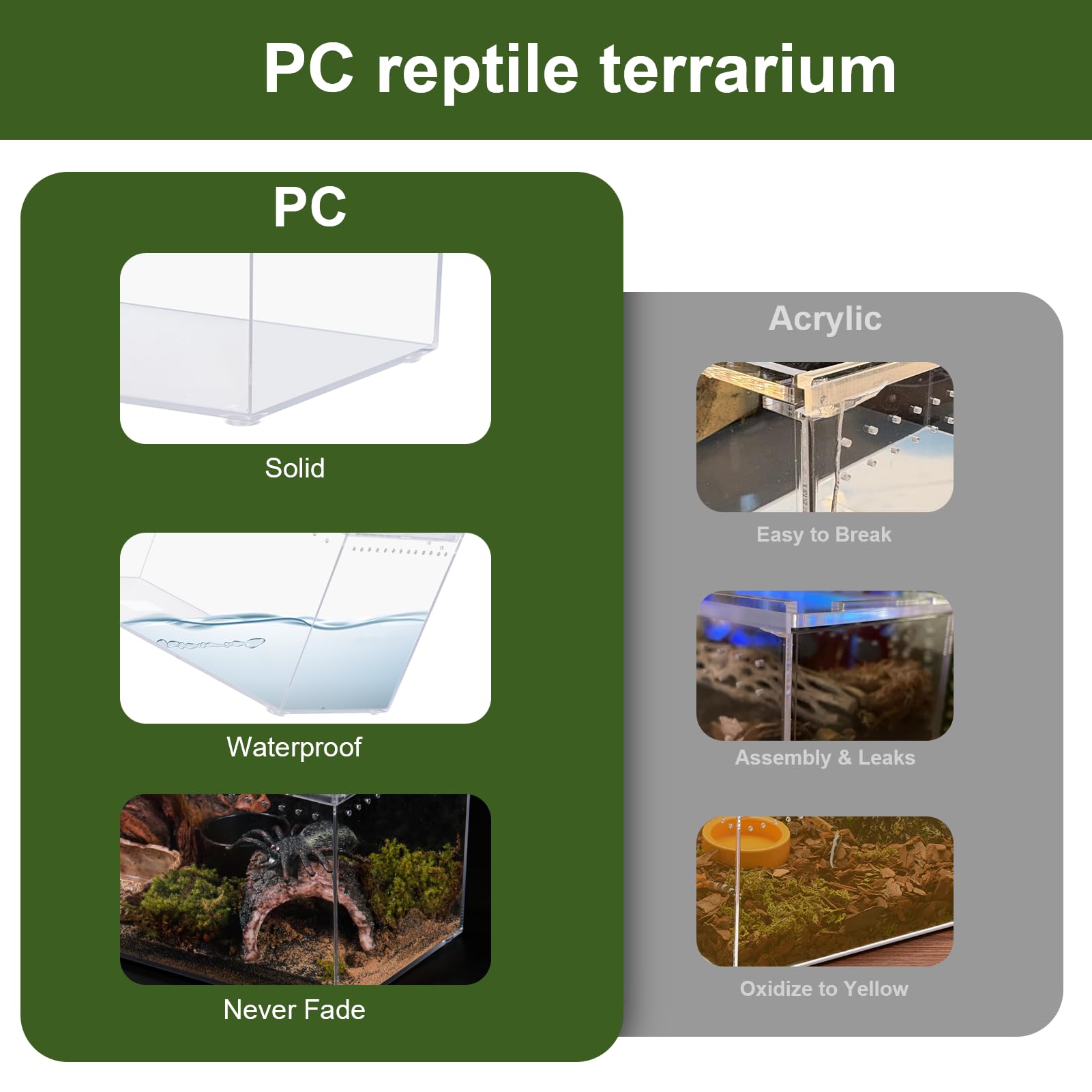 JoviQ Reptile PC Terrarium inside view showcases clear visibility and secure habitat