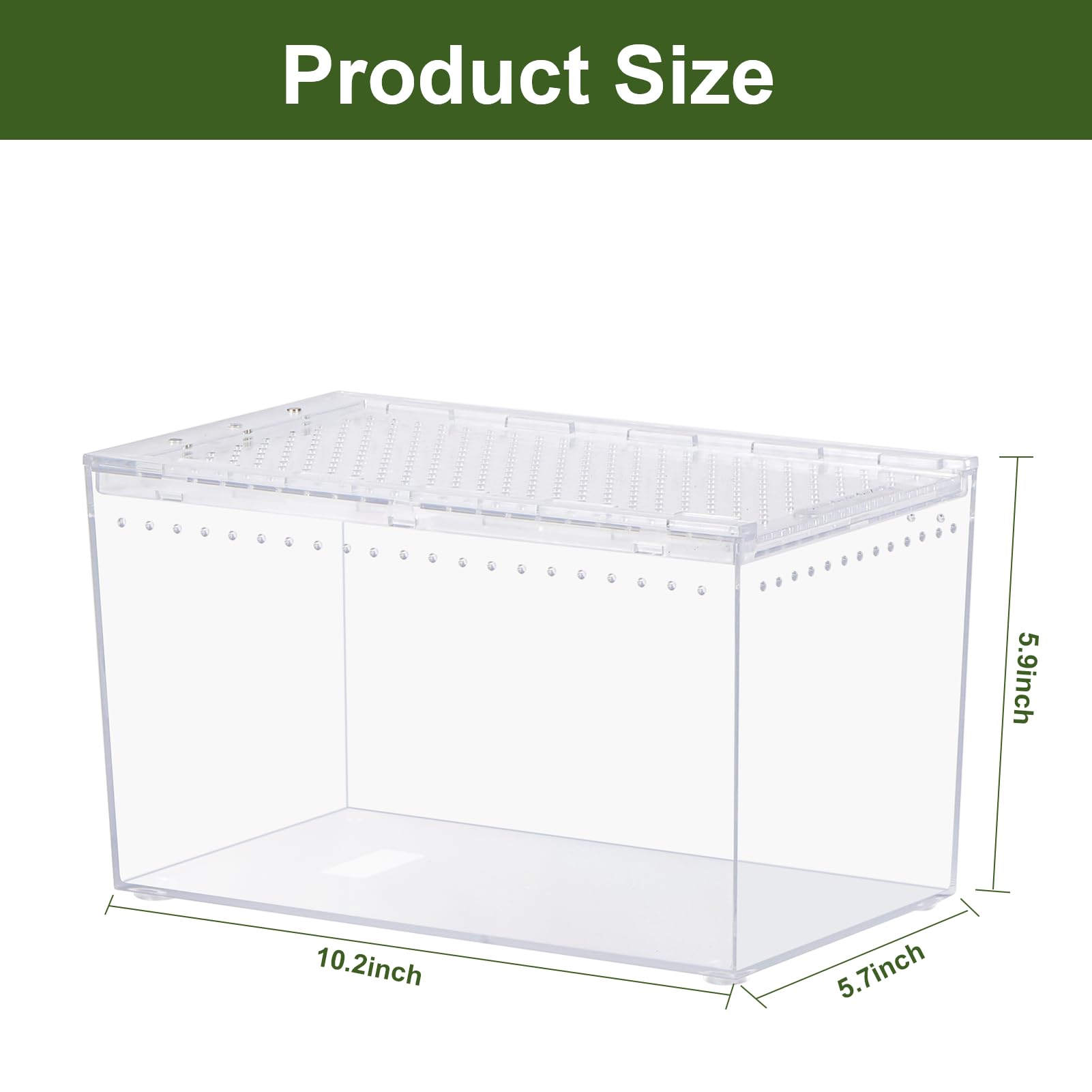 JoviQ Reptile PC Terrarium side view highlights sturdy construction and space for enrichment