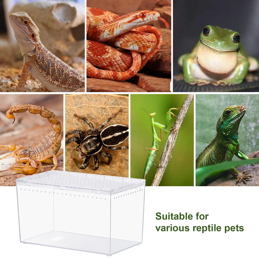 JoviQ Reptile PC Terrarium sprayer enables quick misting for humidity control