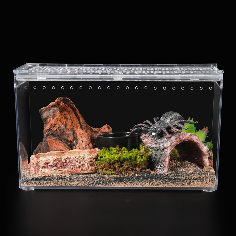 JoviQ Reptile PC Terrarium water dish supports hydration during longer viewing sessions