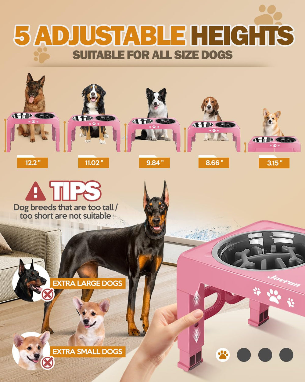Jovrun adjustable stand shows five height levels for growing dogs.