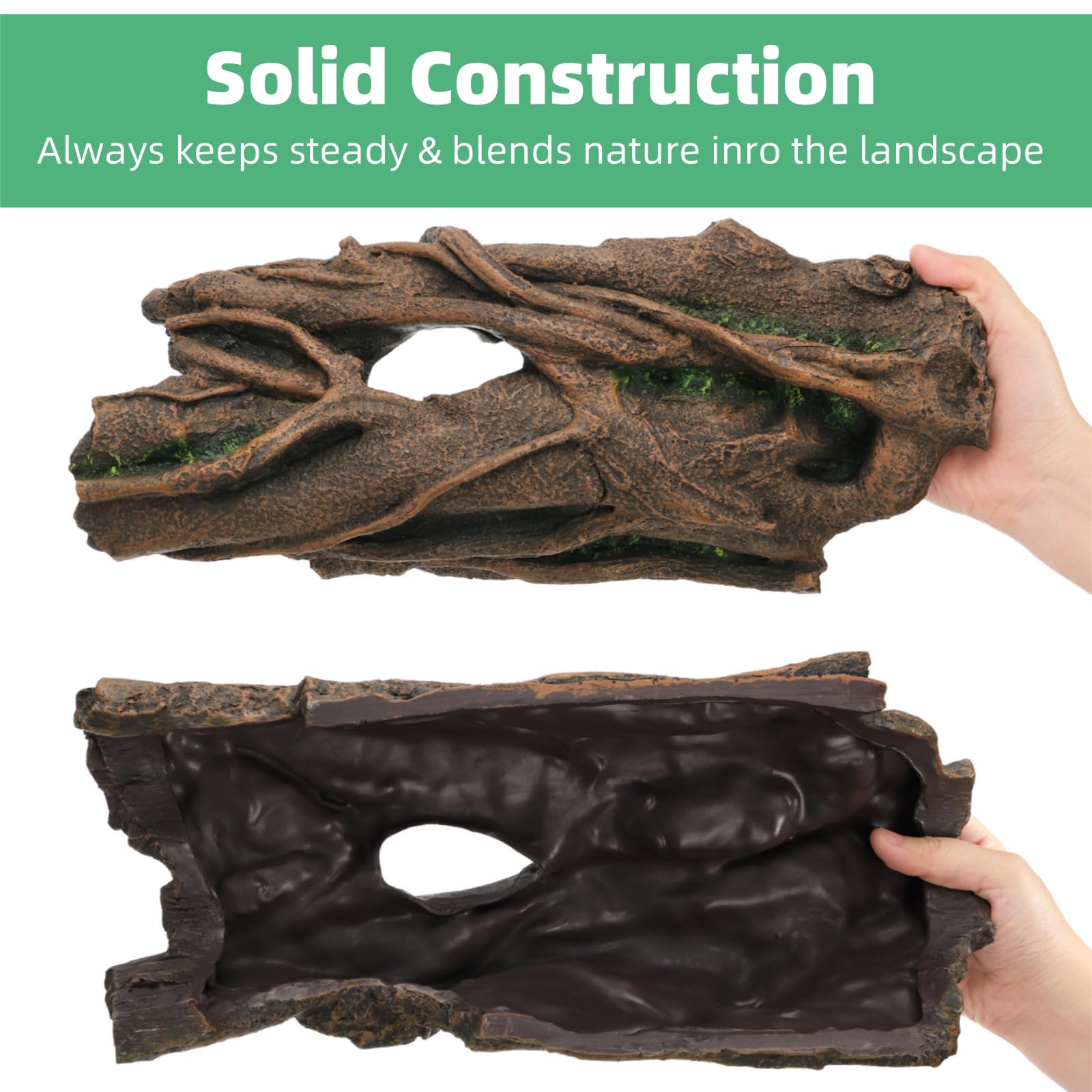 Jowgut interior close-up highlights hollow nest space for burrowing pets