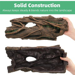 Jowgut interior close-up highlights hollow nest space for burrowing pets