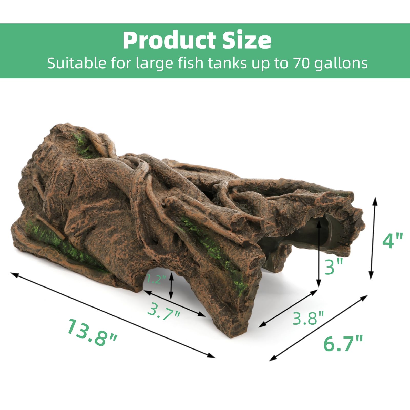 Jowgut bark side view shows durable hide for reptiles and fish in habitats