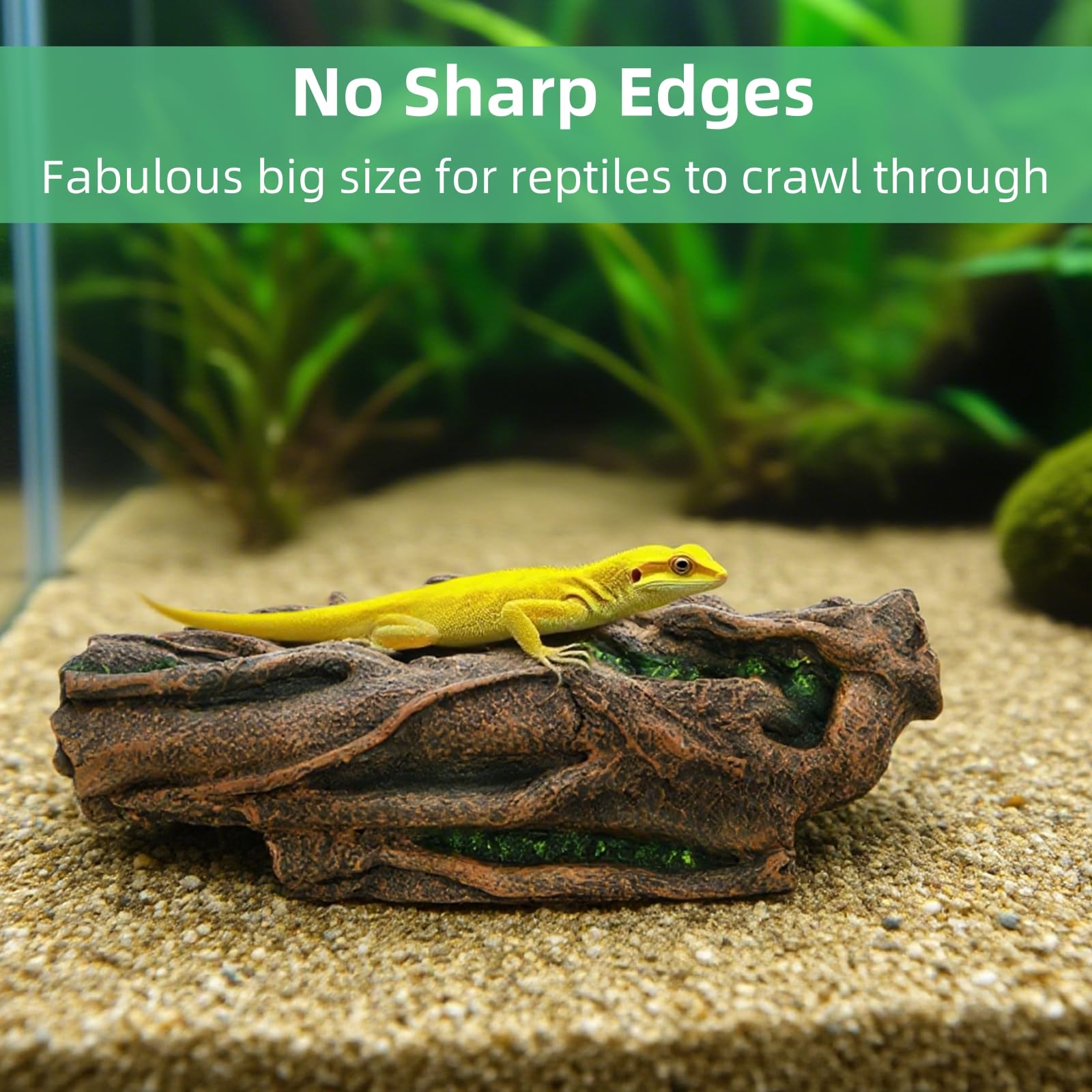 Jowgut texture close-up reveals authentic bark finish for naturalistic terrariums