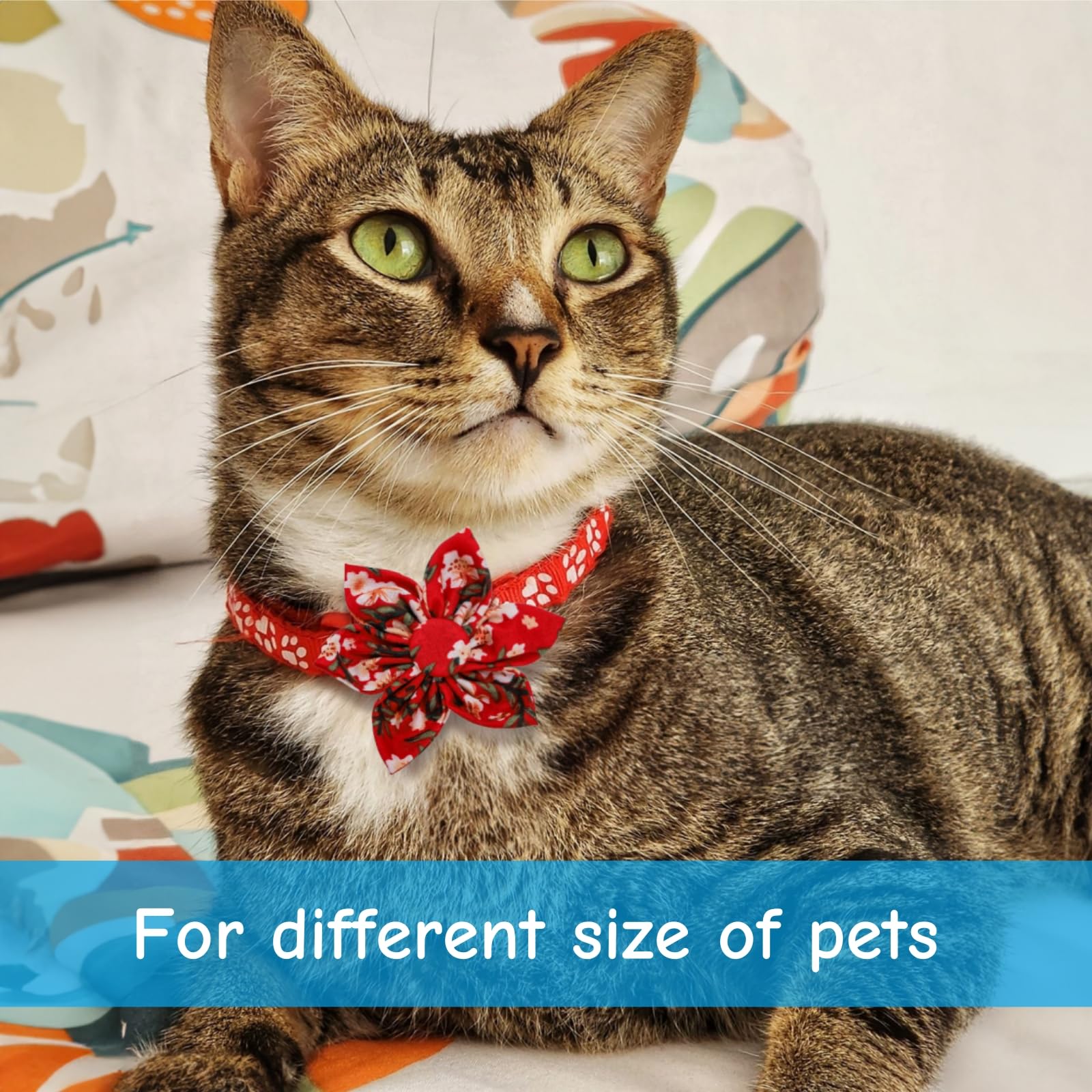 Jowgut flower collars showcase multiple colors for stylish pet outfits.