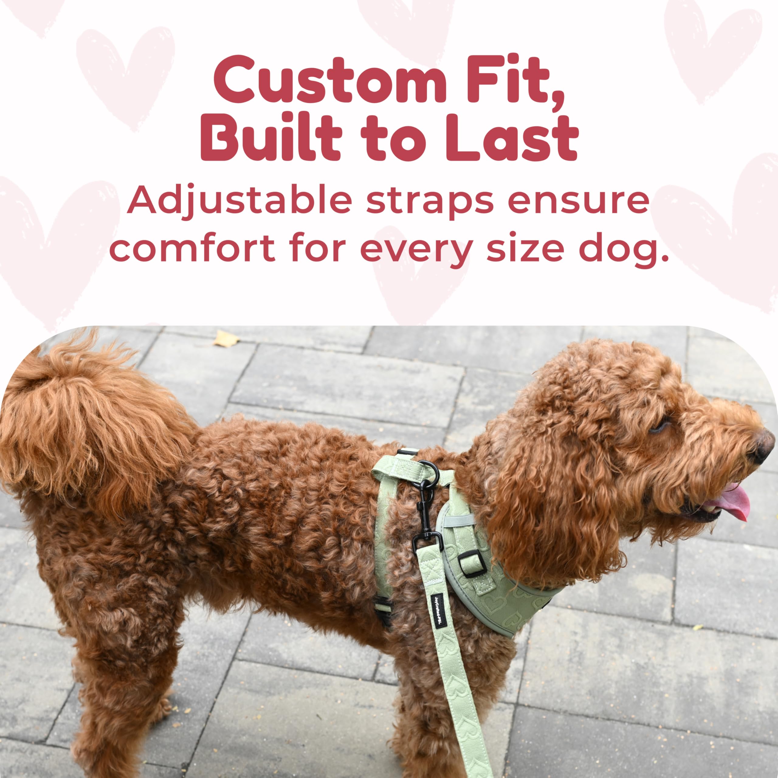 JoyCrafted-FBL adjustable straps adapt as your dog grows.