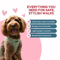 JoyCrafted-FBL heart-pattern harness with green fabric for stylish walks.