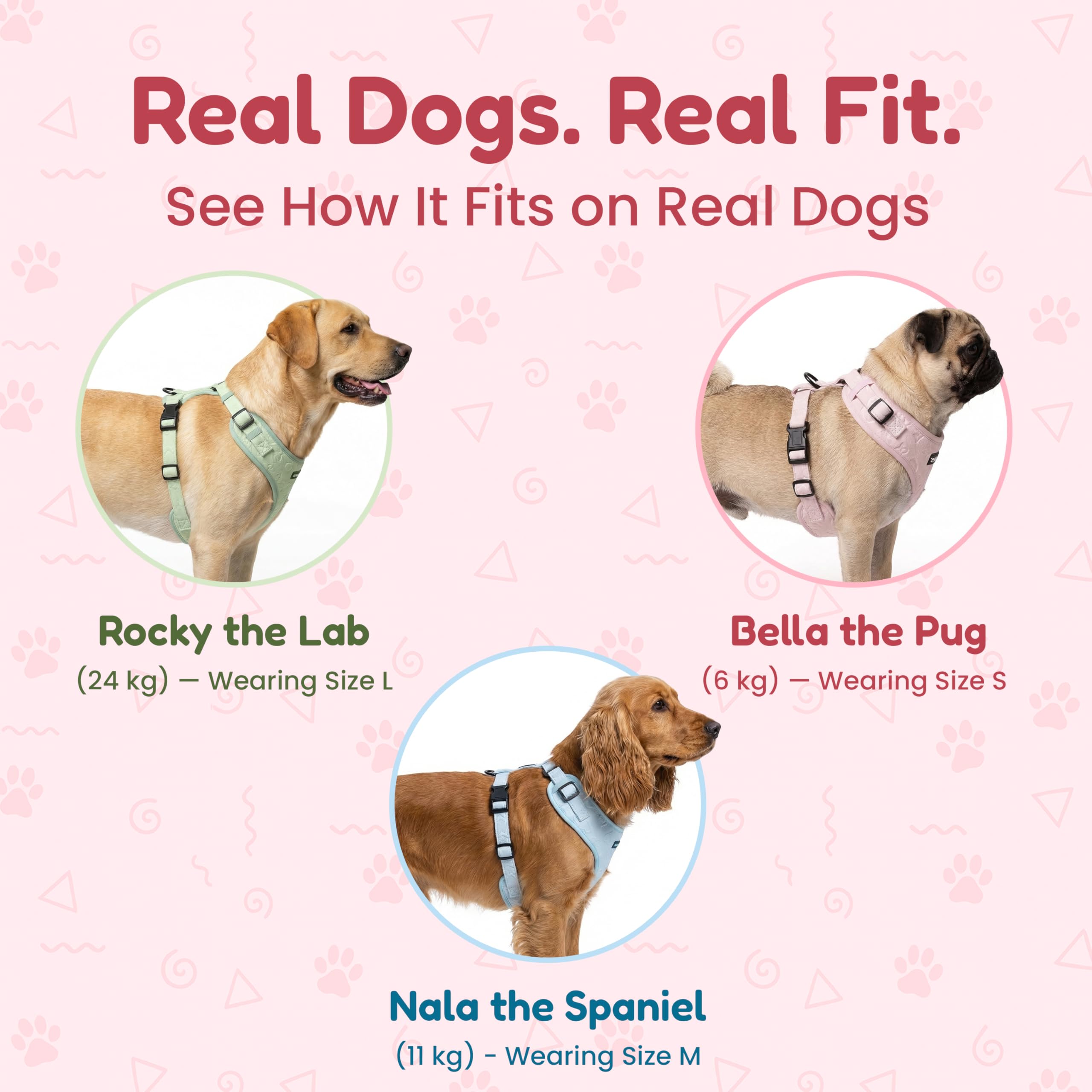 JoyCrafted-FBL no-pull harness leash attachment highlights front-clip control.