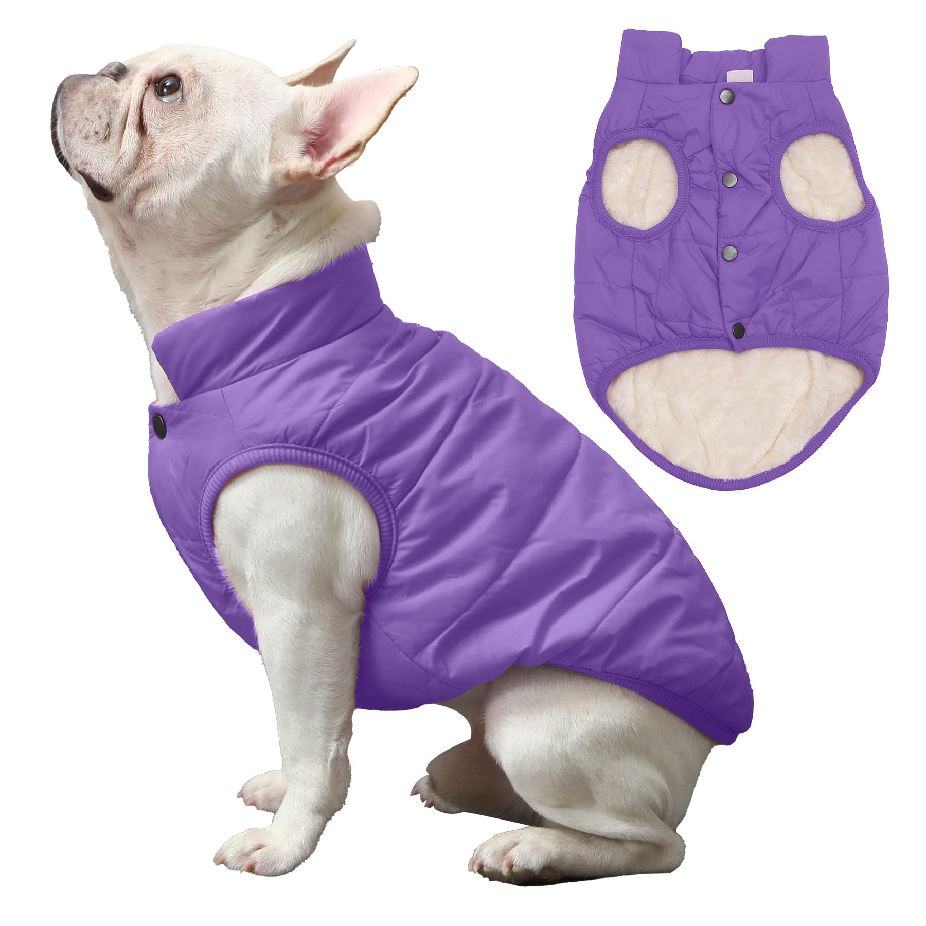 JoyDaog 2-layer fleece-lined dog jacket back view shows windproof outer layer.