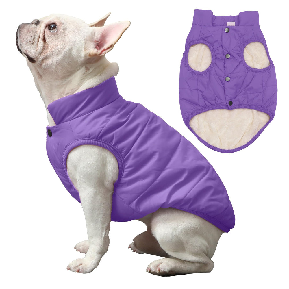 JoyDaog 2-layer fleece-lined dog jacket back view shows windproof outer layer.